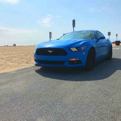 Krishna26's Ford Mustang GT