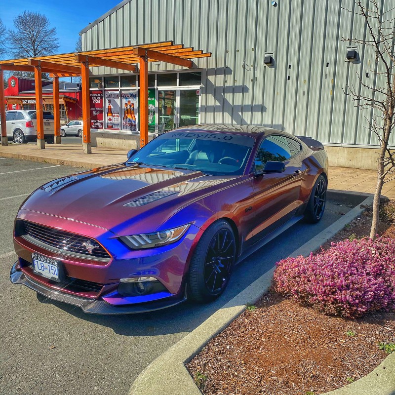 Dyl5.0's Ford Mustang