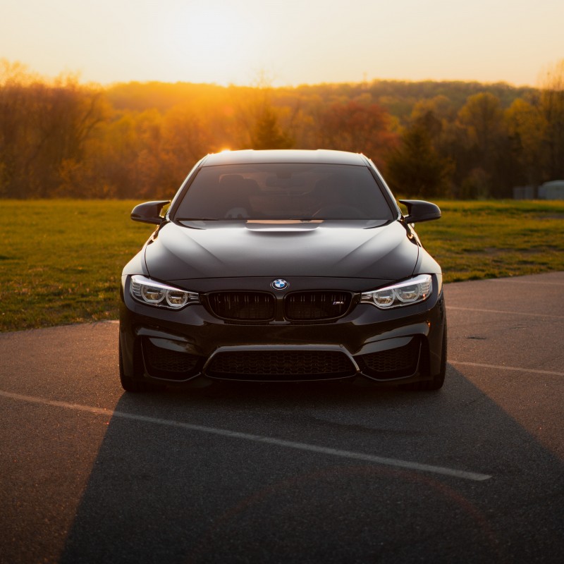 panda.lives.matter's BMW M4