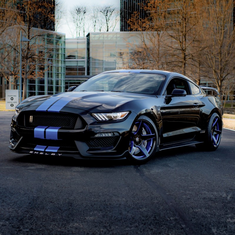 shelbycobrahennessey's Ford Mustang